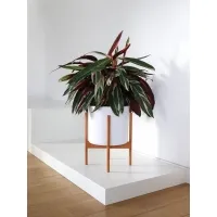 Butikkvindussokkel, hvit matt, 45 x 45 x 10 cm