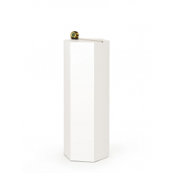 Sekskantet pidestall, hvit, 40 x 100 cm