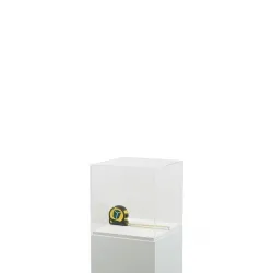 Plexiglas vitrinekap | plexiglas stolp | maquettekap op maat