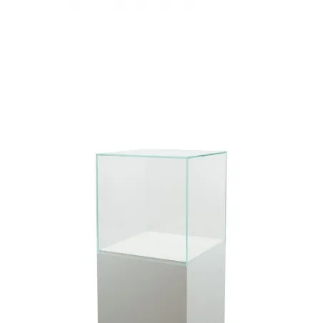 Glassmonter