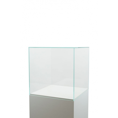 Glassmonter