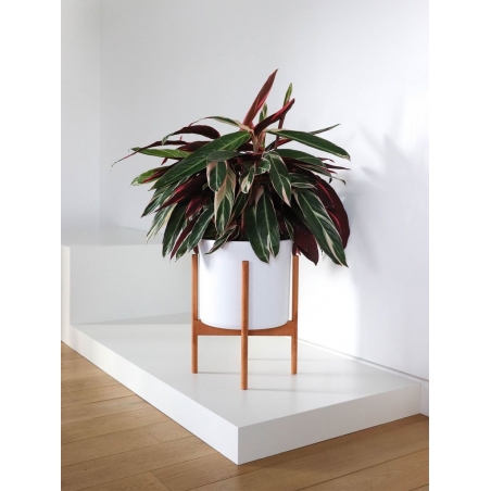 Sokkel utstillingsvindu, svart 60 x 60 x 10 cm