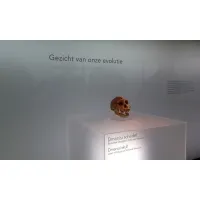Pidestall i pleksiglass