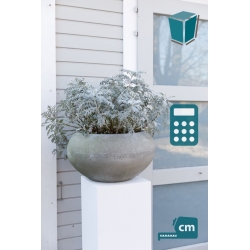 Solits pidestall hvit - Utendørs