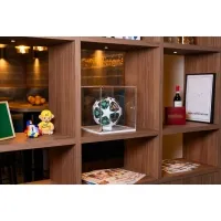 Plexiglas vitrinekap | plexiglas stolp | maquettekap op maat