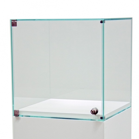 Glashaube mit Tür, 50 x 50 x 50 cm (LxBxH)