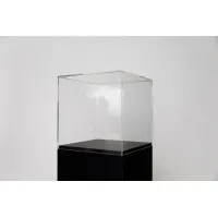 Plexiglas vitrinekap | plexiglas stolp | maquettekap op maat