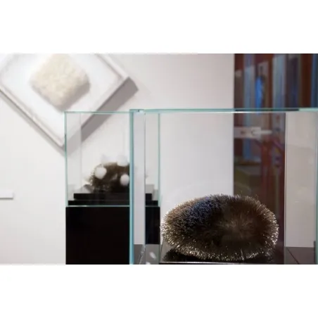 Glassmonter