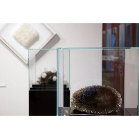 Glassmonter